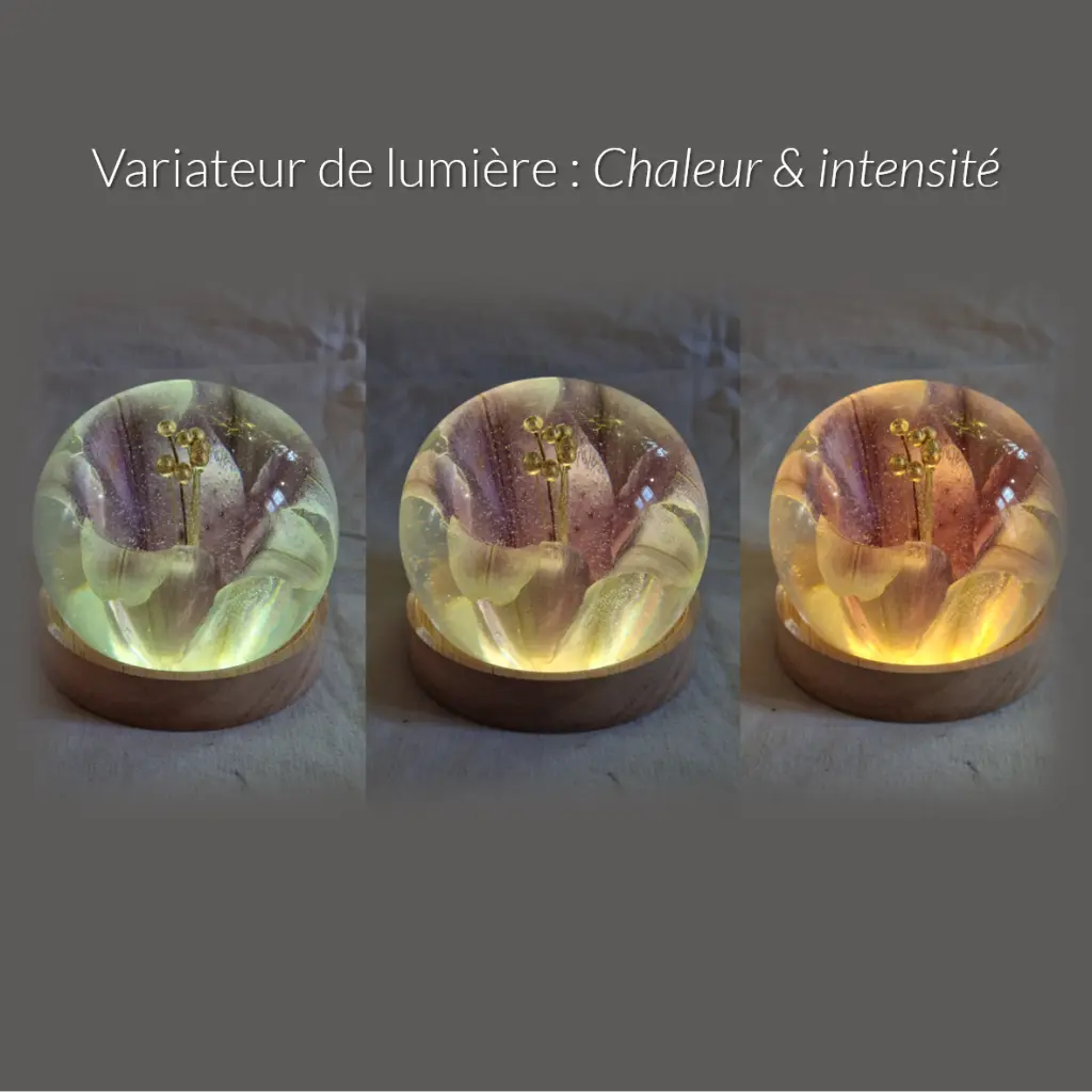 Lampe boule résine inclusion fleur naturelle So creativ lumière féérique 15-4.webp