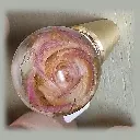 Furniture Knob - Pale Pink Rose