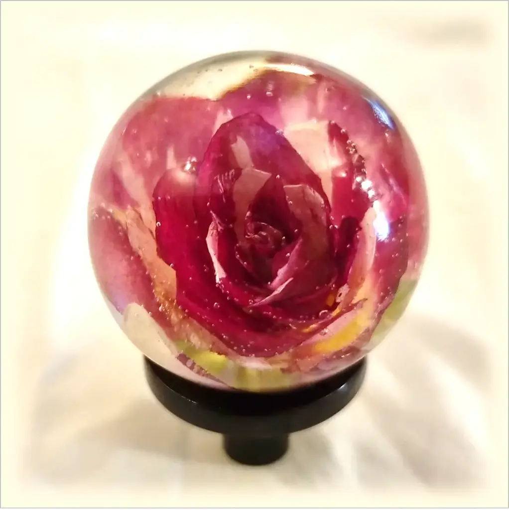 Furniture knob - Rose & White