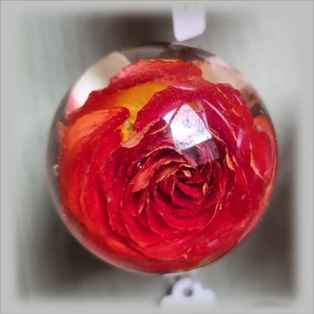 Bouton de meuble - Rose orange