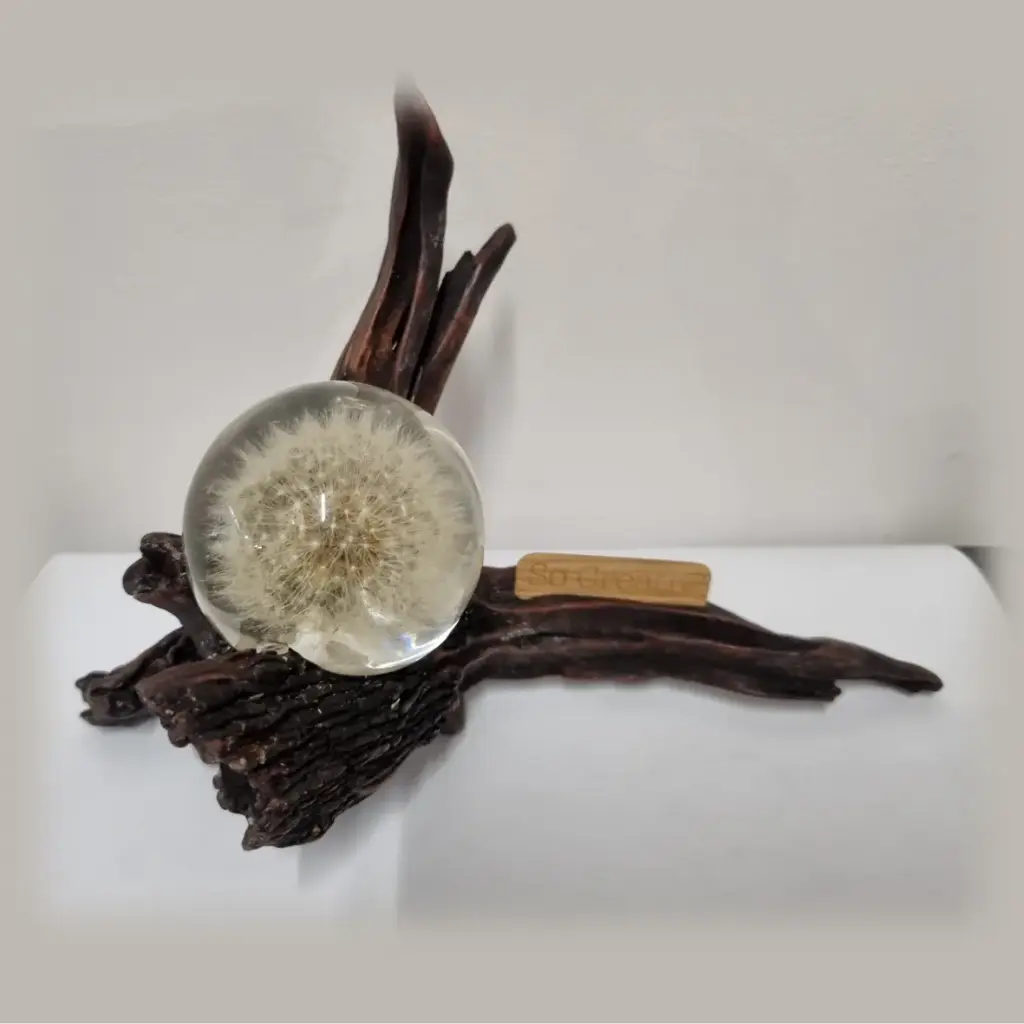 Dandelion & Driftwood Lamp