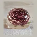 Red & White Rose in Resin