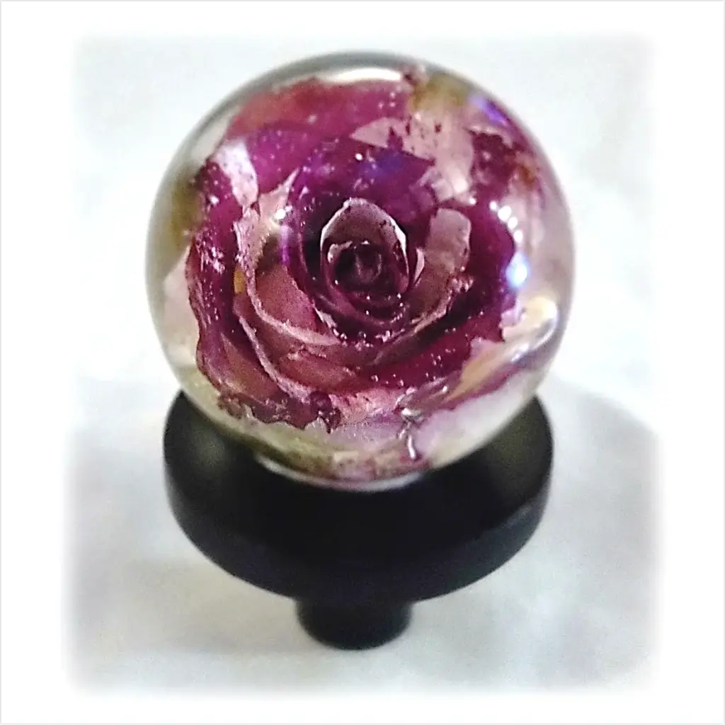 Furniture knob - Rose & White