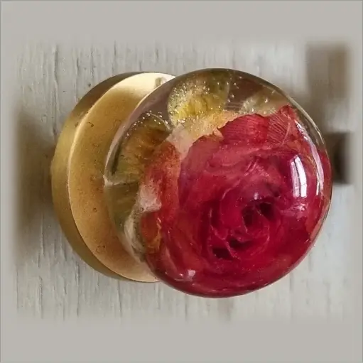 [P14] Furniture Knob - Orange Rose