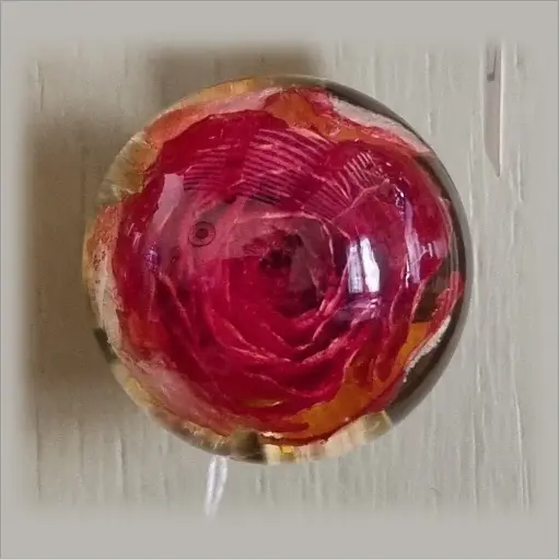 [P15] Furniture Knob - Orange Rose