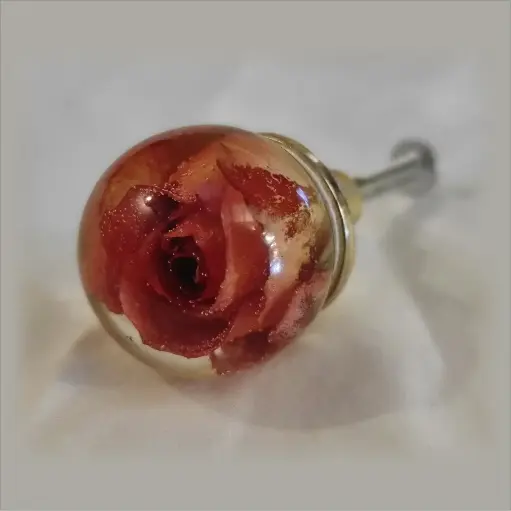 [P18] Furniture Knob - Orange Rose