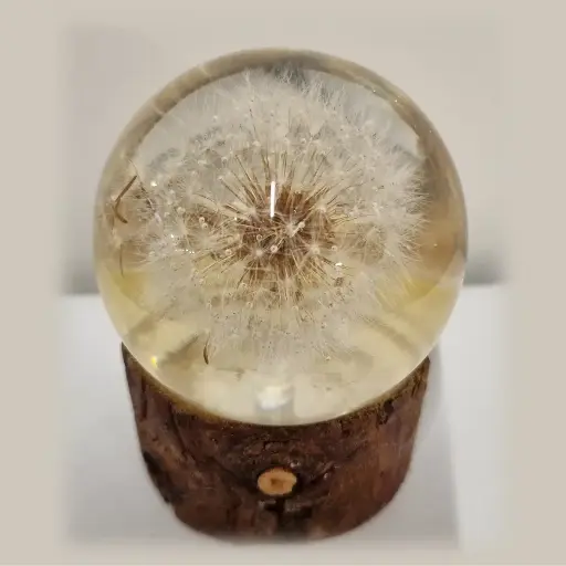 [L2] Dandelion Lamp