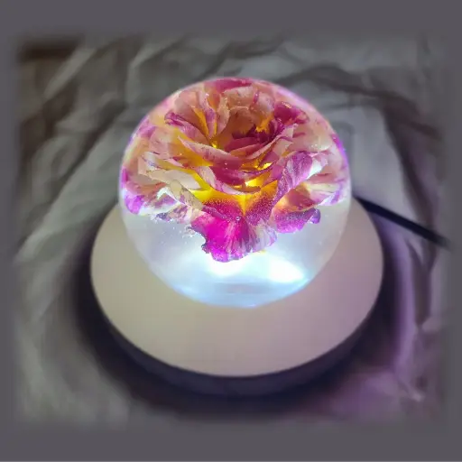 [L14] Pink & Yellow Rose Lamp