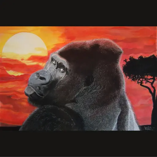 Gorilla at Dusk