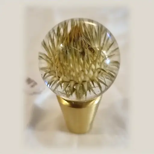 [P3] Furniture Knob - Thistle